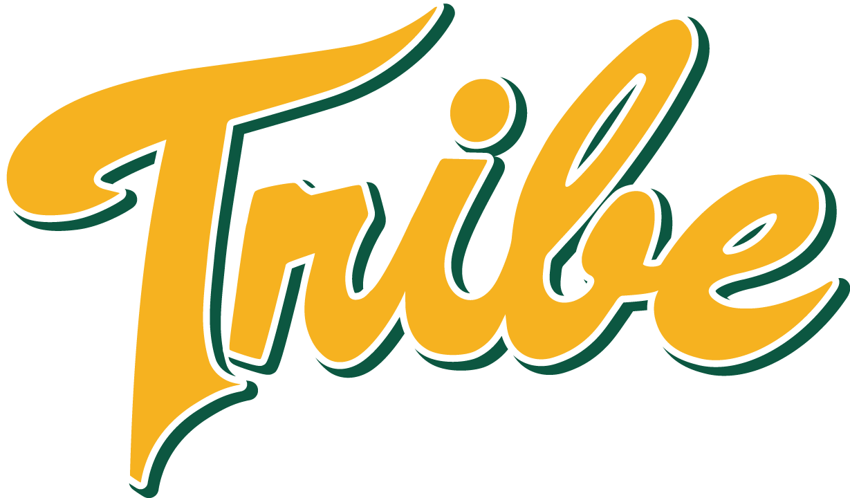 William and Mary Tribe 2016-Pres Alternate Logo iron on transfers for clothing